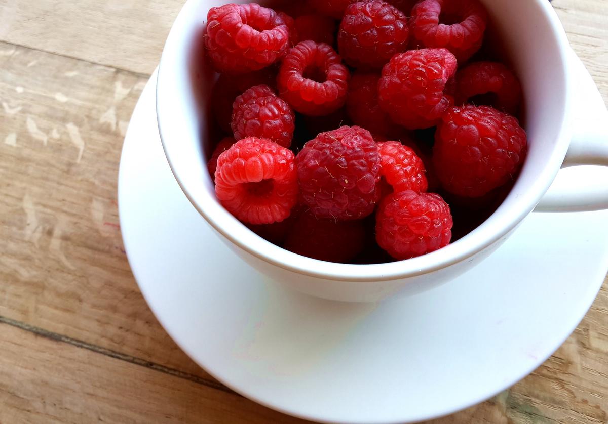 Dolore sit repellat quibusdam aut aut vel voluptatum