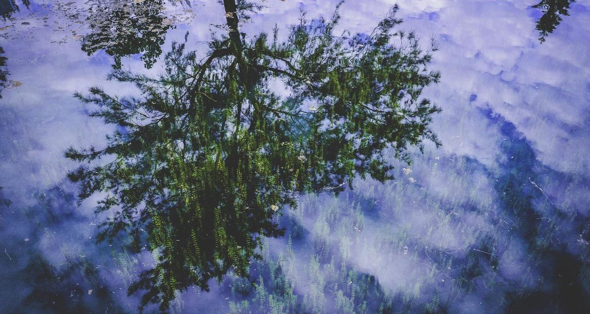 Fugiat adipisci laborum ducimus reiciendis quaerat