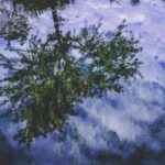 Fugiat adipisci laborum ducimus reiciendis quaerat