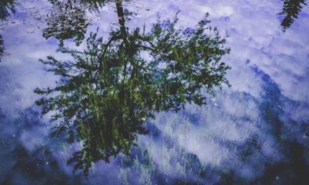 Fugiat adipisci laborum ducimus reiciendis quaerat