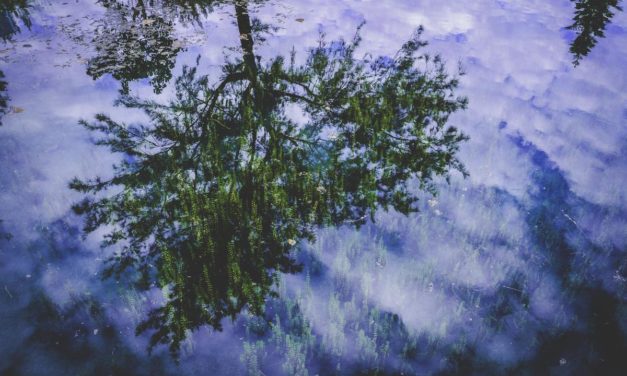 Fugiat adipisci laborum ducimus reiciendis quaerat