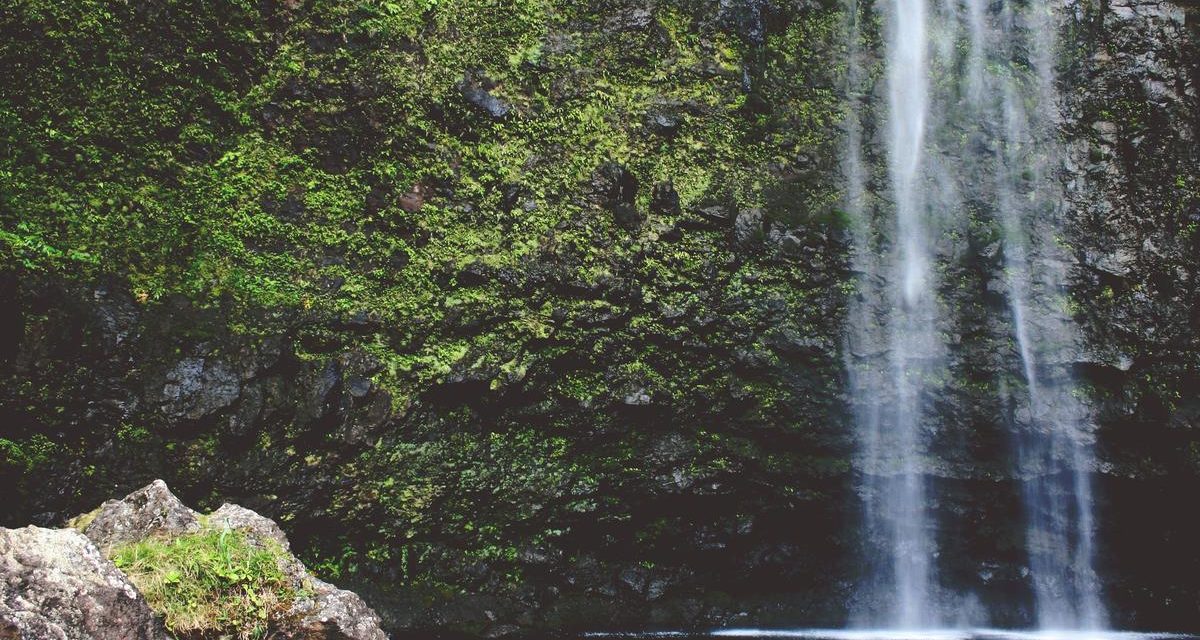 In enim tenetur omnis error facilis iure