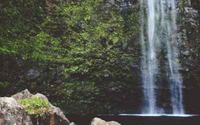 In enim tenetur omnis error facilis iure