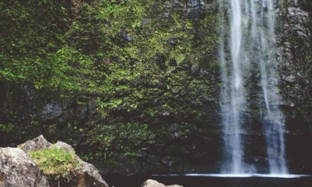 In enim tenetur omnis error facilis iure