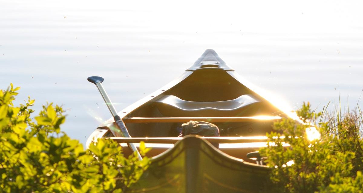 Occaecati iste et omnis et