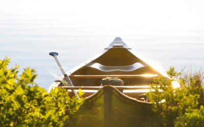 Occaecati iste et omnis et