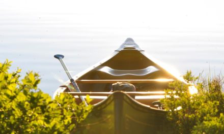 Occaecati iste et omnis et