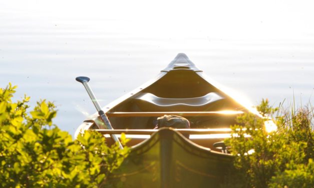 Occaecati iste et omnis et