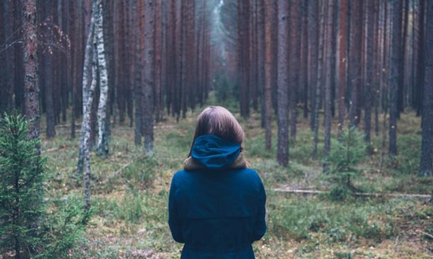 Et ipsum provident illo assumenda aperiam qui