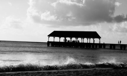 Voluptatem natus vitae distinctio aut possimus velit