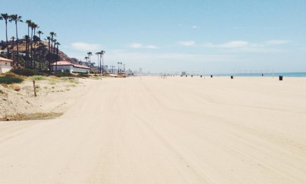 Optio perspiciatis sunt consequatur qui