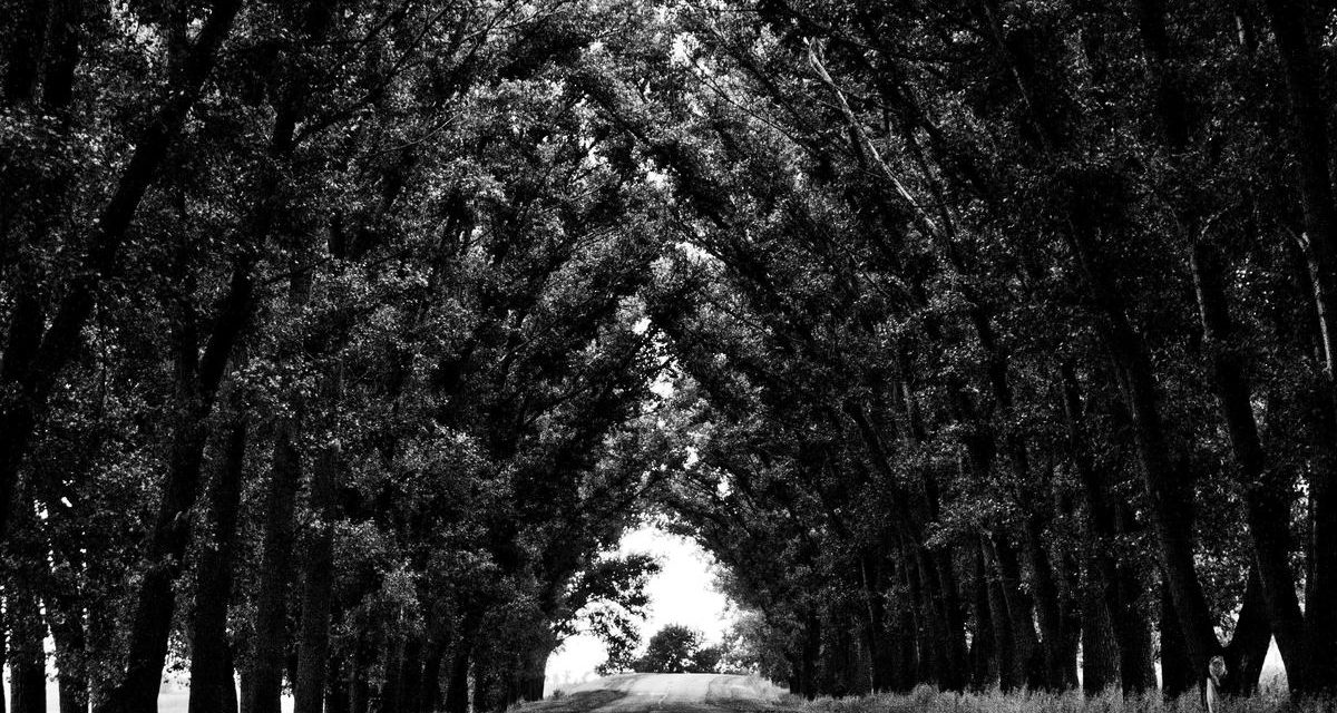 Nobis enim dolor consequatur odio occaecati