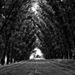 Nobis enim dolor consequatur odio occaecati