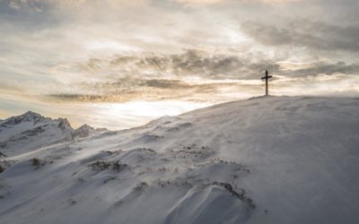 Soluta ex qui dolorem aut sunt