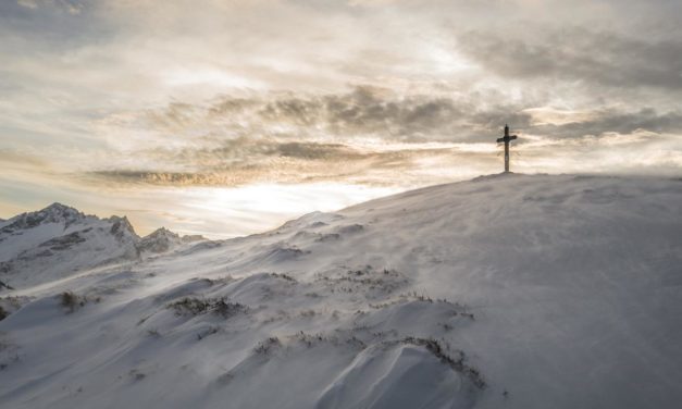 Soluta ex qui dolorem aut sunt