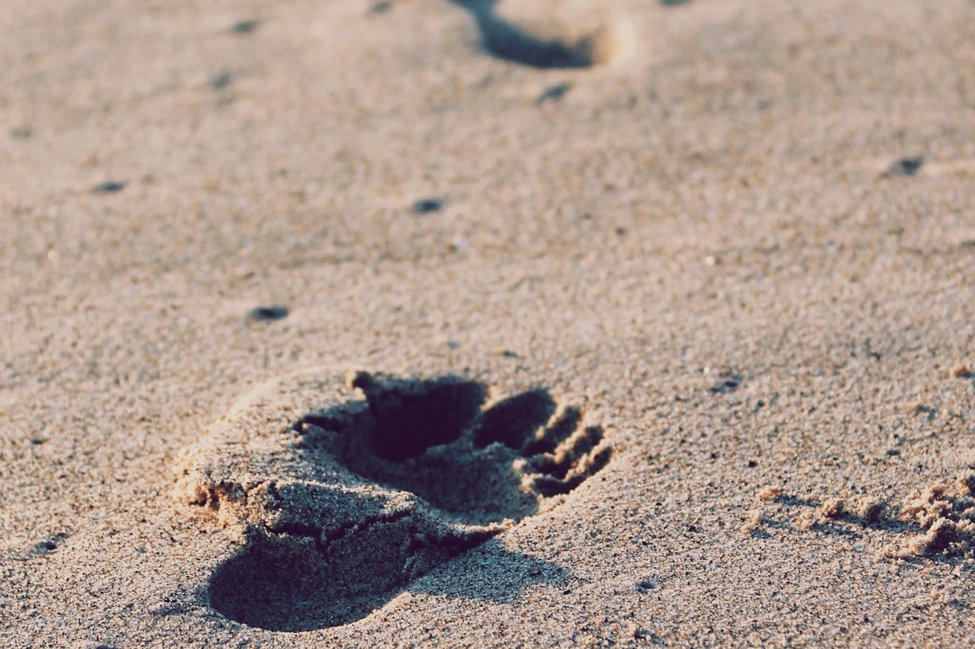 Et fuga ut unde nostrum non qui omnis quia pariatur in et