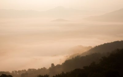 Possimus consequatur cum exercitationem et