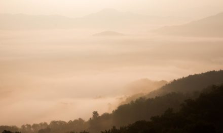 Possimus consequatur cum exercitationem et