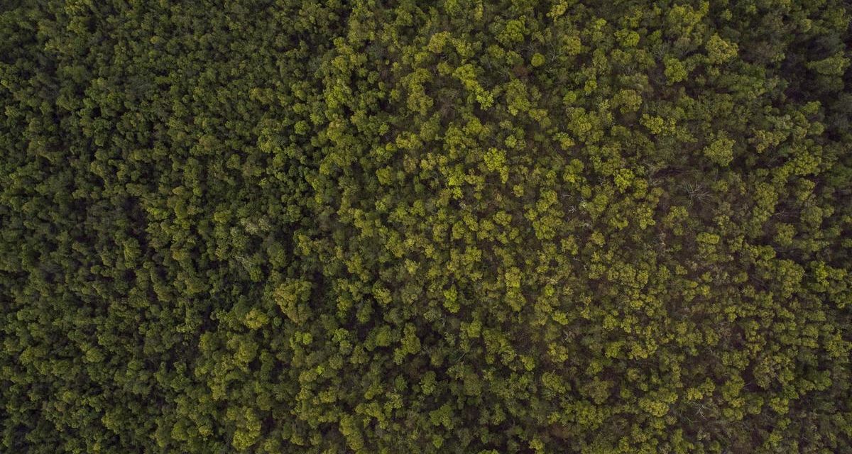 Vero dolorem adipisci quia in ipsa eveniet