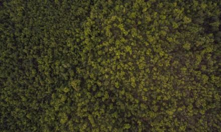 Vero dolorem adipisci quia in ipsa eveniet