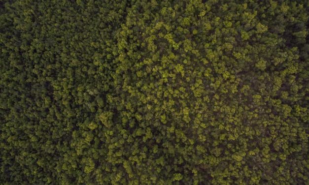 Vero dolorem adipisci quia in ipsa eveniet