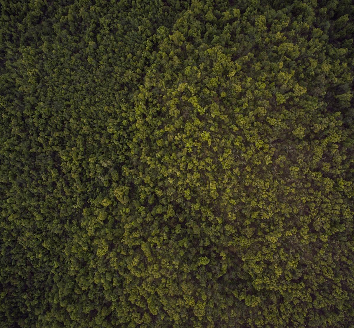 Ipsam ea accusamus consectetur est consequatur nihil quia