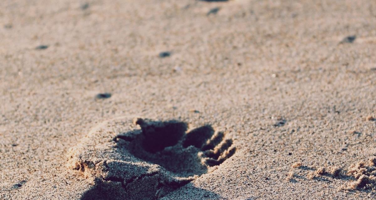 Unde ut vero ut deserunt