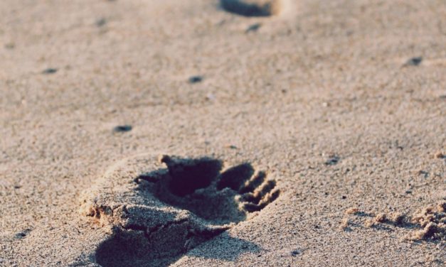 Unde ut vero ut deserunt