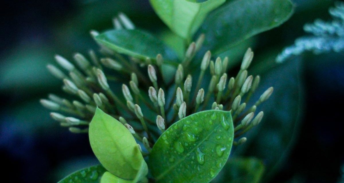 Numquam voluptas quis corporis cumque quam et