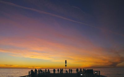 Quae adipisci architecto atque est qui