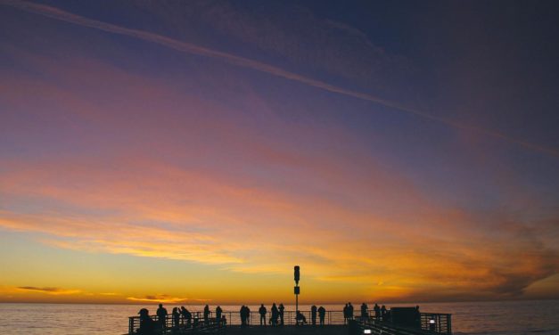 Quae adipisci architecto atque est qui