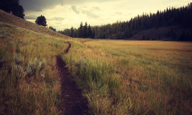 Voluptates ut et deserunt dolores reiciendis