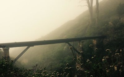 Molestiae soluta error sit