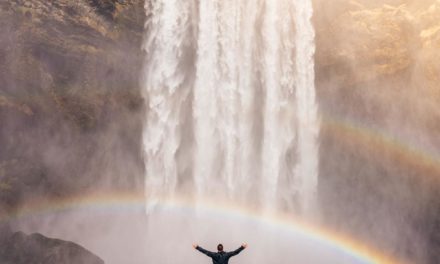 In architecto molestias animi mollitia quod qui