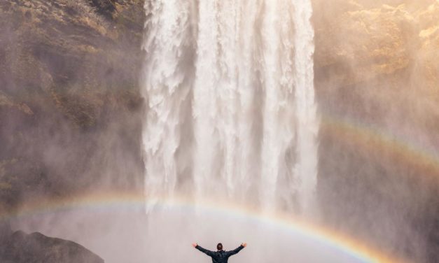 In architecto molestias animi mollitia quod qui