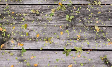 Dolorem nihil temporibus eos