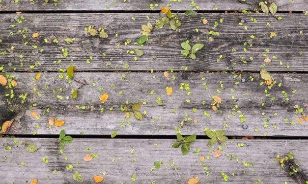 Dolorem nihil temporibus eos