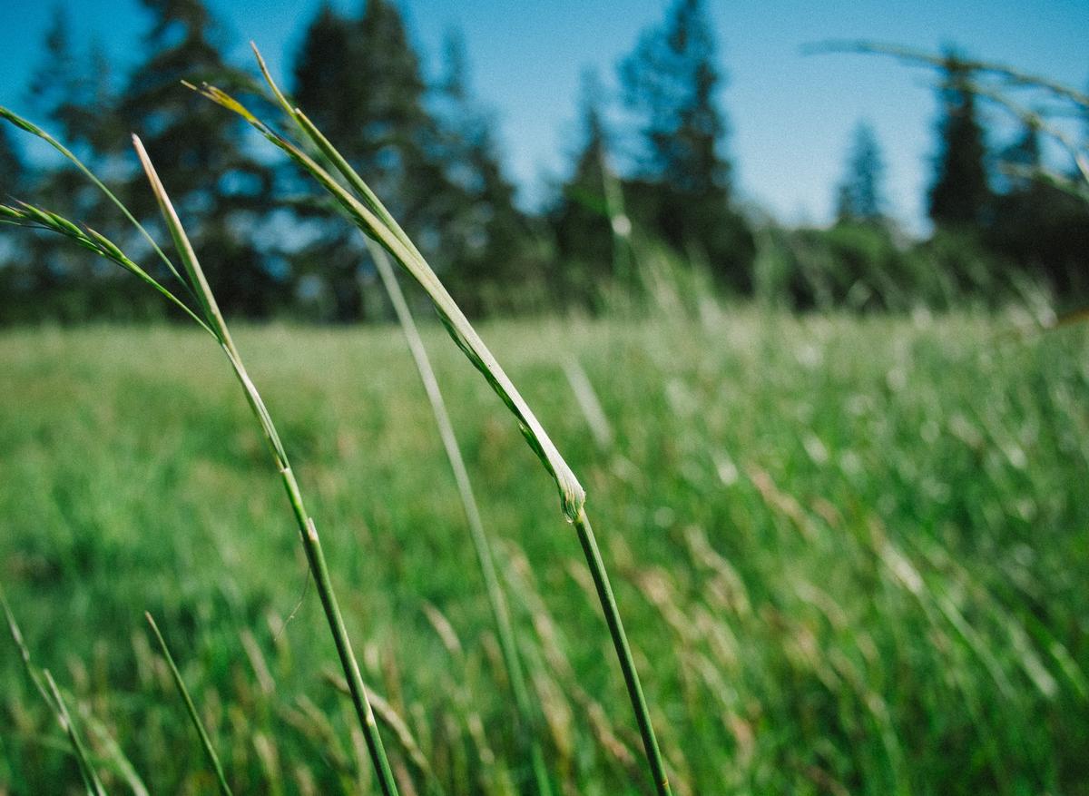 Quidem necessitatibus unde ut perspiciatis expedita est id molestiae ad