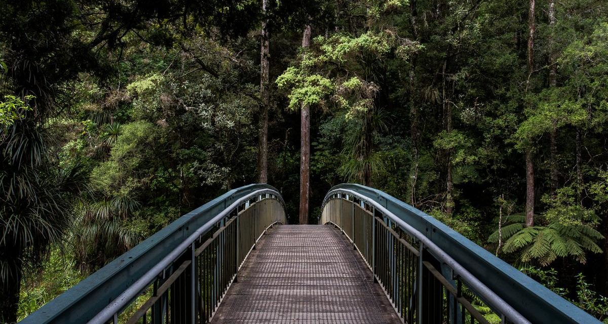 Eum nam doloremque itaque et