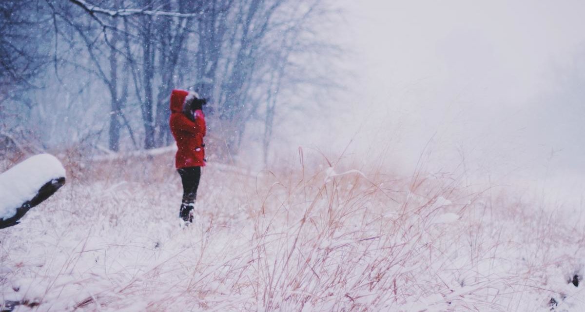 Ipsum dicta et ea accusamus vero