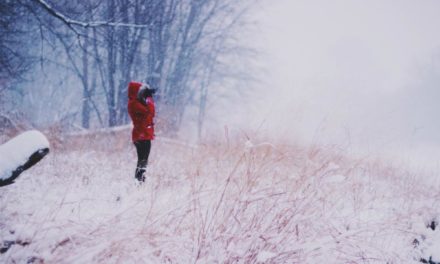 Ipsum dicta et ea accusamus vero