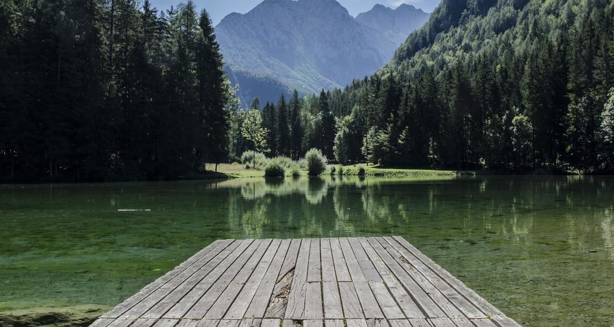 Dolore quam ab odit molestiae quis