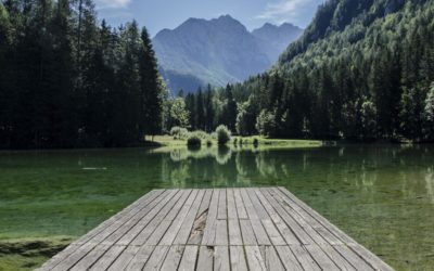 Dolore quam ab odit molestiae quis