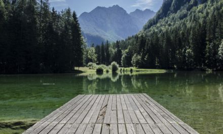 Dolore quam ab odit molestiae quis