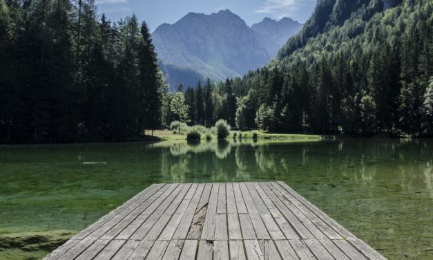 Dolore quam ab odit molestiae quis